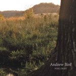 andrew-bird-noble-beast