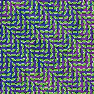 animal-collective-merriweather-post-pavilion1