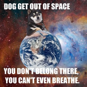 dog-get-out-of-space